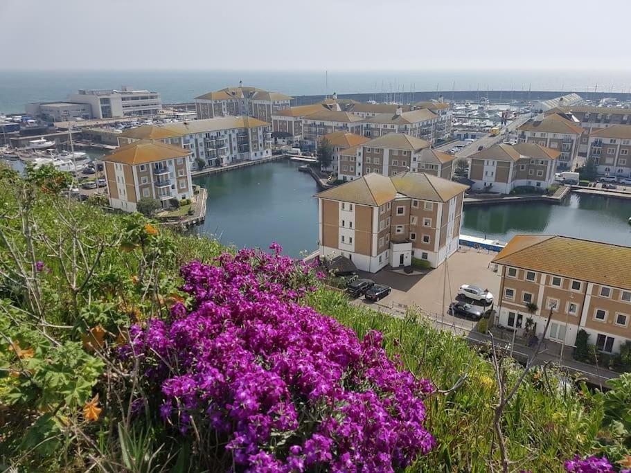 Brighton Abode Studio I Great Neighbourhood! Eksteriør billede